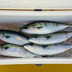 火遠理丸(ほおりまる) 釣果