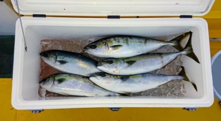 火遠理丸(ほおりまる) 釣果