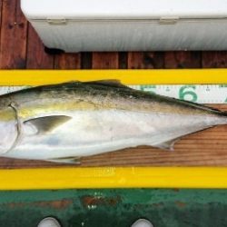 火遠理丸(ほおりまる) 釣果