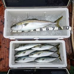 火遠理丸(ほおりまる) 釣果