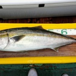 火遠理丸(ほおりまる) 釣果