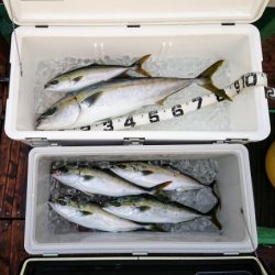 火遠理丸(ほおりまる) 釣果