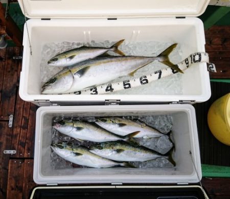 火遠理丸(ほおりまる) 釣果