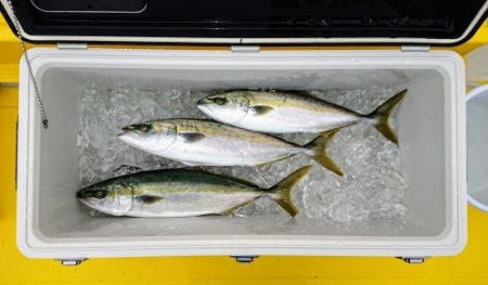 火遠理丸(ほおりまる) 釣果