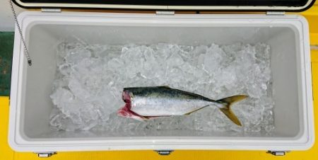 火遠理丸（ほおりまる） 釣果