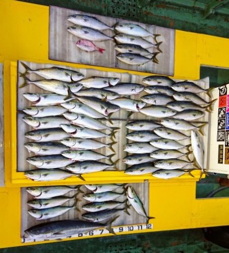 火遠理丸（ほおりまる） 釣果