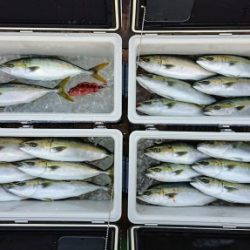 火遠理丸（ほおりまる） 釣果