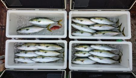 火遠理丸（ほおりまる） 釣果