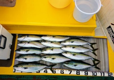 火遠理丸（ほおりまる） 釣果