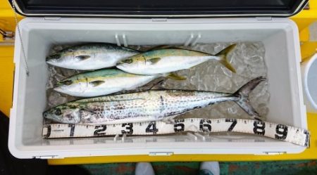 火遠理丸（ほおりまる） 釣果