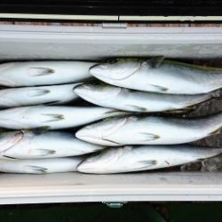 火遠理丸（ほおりまる） 釣果