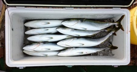 火遠理丸（ほおりまる） 釣果