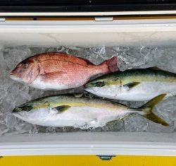 火遠理丸（ほおりまる） 釣果