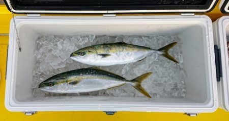 火遠理丸（ほおりまる） 釣果