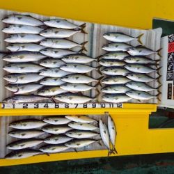 火遠理丸（ほおりまる） 釣果