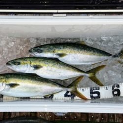 火遠理丸（ほおりまる） 釣果