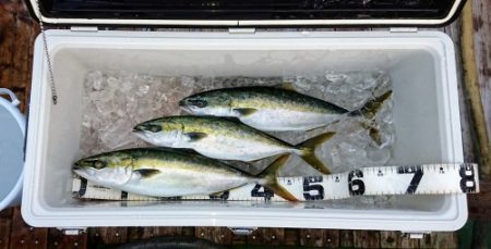 火遠理丸（ほおりまる） 釣果