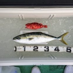 火遠理丸（ほおりまる） 釣果