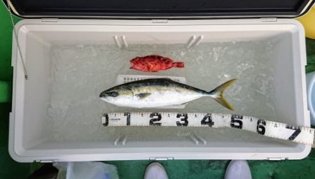 火遠理丸（ほおりまる） 釣果