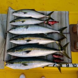 火遠理丸（ほおりまる） 釣果