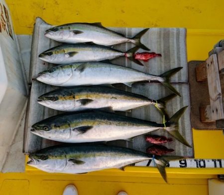 火遠理丸（ほおりまる） 釣果