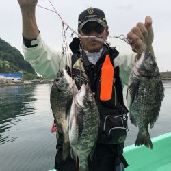 由良渡船 釣果