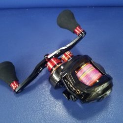 遊漁船 ニライカナイ 釣果