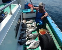 久里浜黒川本家 釣果