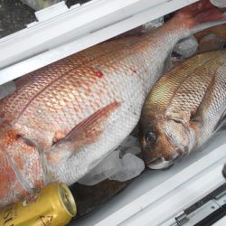 こうゆう丸 釣果