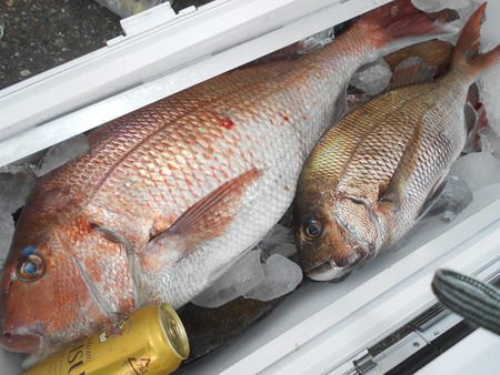 こうゆう丸 釣果