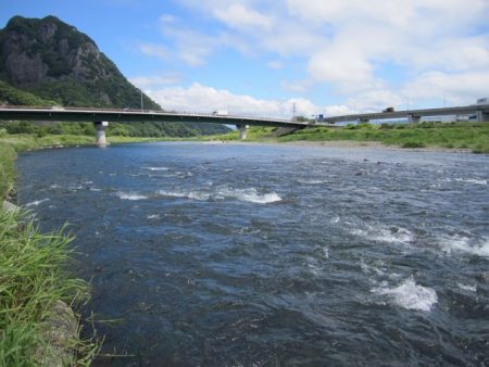 狩野川（狩野川漁業協同組合） 釣果