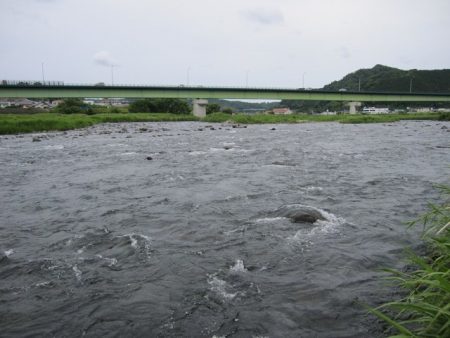 狩野川（狩野川漁業協同組合） 釣果