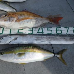 NAKAMARU 釣果