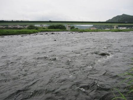 狩野川(狩野川漁業協同組合) 釣果