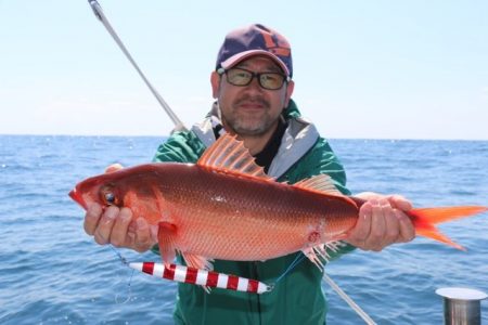 へいみつ丸 釣果