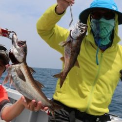 へいみつ丸 釣果