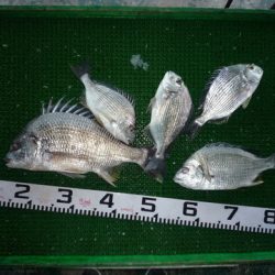 海山フィッシングセンター 釣果