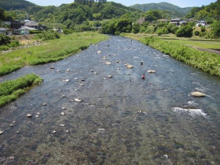 狩野川(狩野川漁業協同組合) 釣果