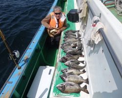 久里浜黒川本家 釣果