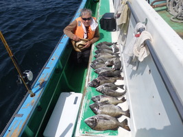 久里浜黒川本家 釣果