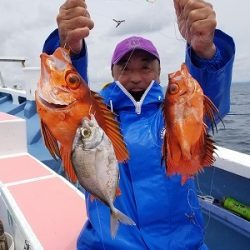 しまや丸 釣果