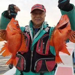 しまや丸 釣果