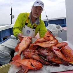 しまや丸 釣果