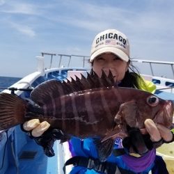 しまや丸 釣果