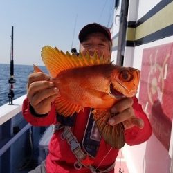 しまや丸 釣果