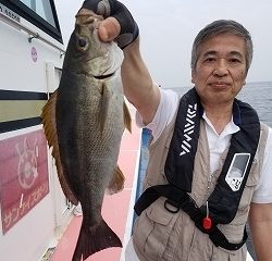 しまや丸 釣果