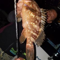 Magic(マジック) 釣果