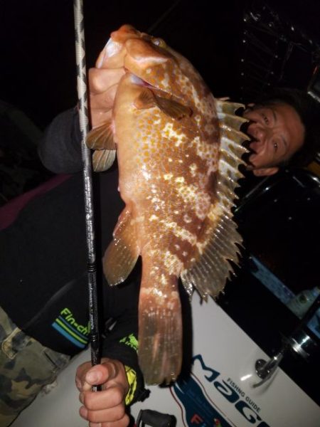 Magic(マジック) 釣果