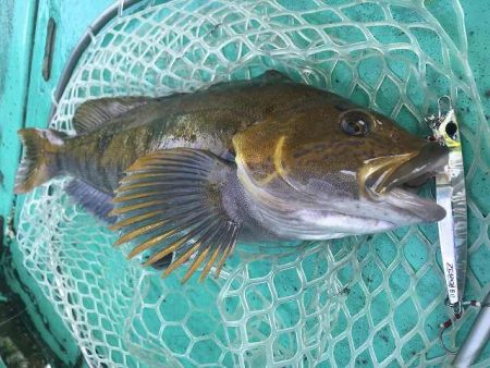 広進丸 釣果