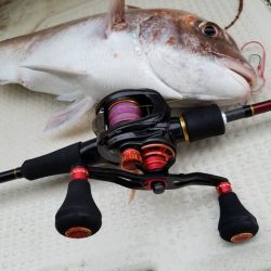 遊漁船 ニライカナイ 釣果